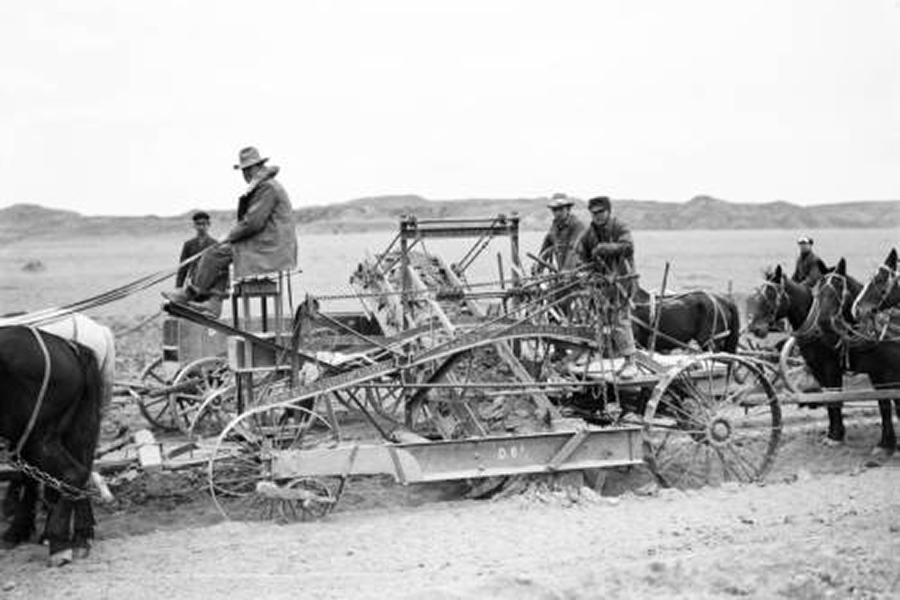 Black-and-white photo of a horse-drawn farming implement with several men working on a dry, flat field in the background